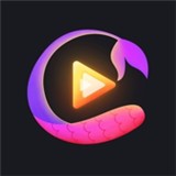 金星直播免费版