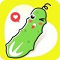 青苹果乐园影视手机版下载入口